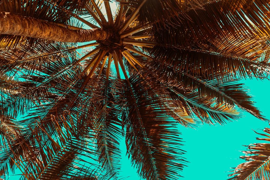 Tropical beach