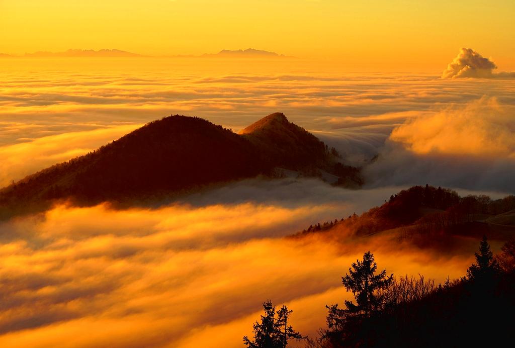Misty morning in the Swiss Alps